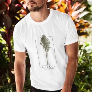 Polera Alerce Hombre