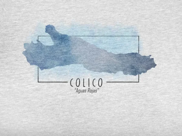 Polera Lago Colico Acuarela Hombre - Imagen 2